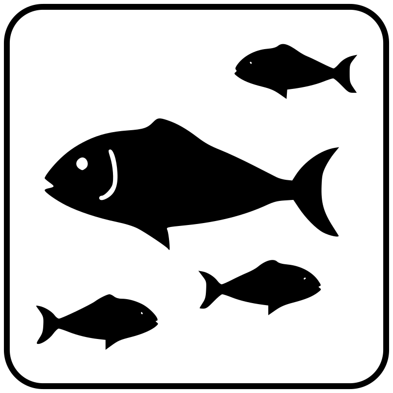 Acquario