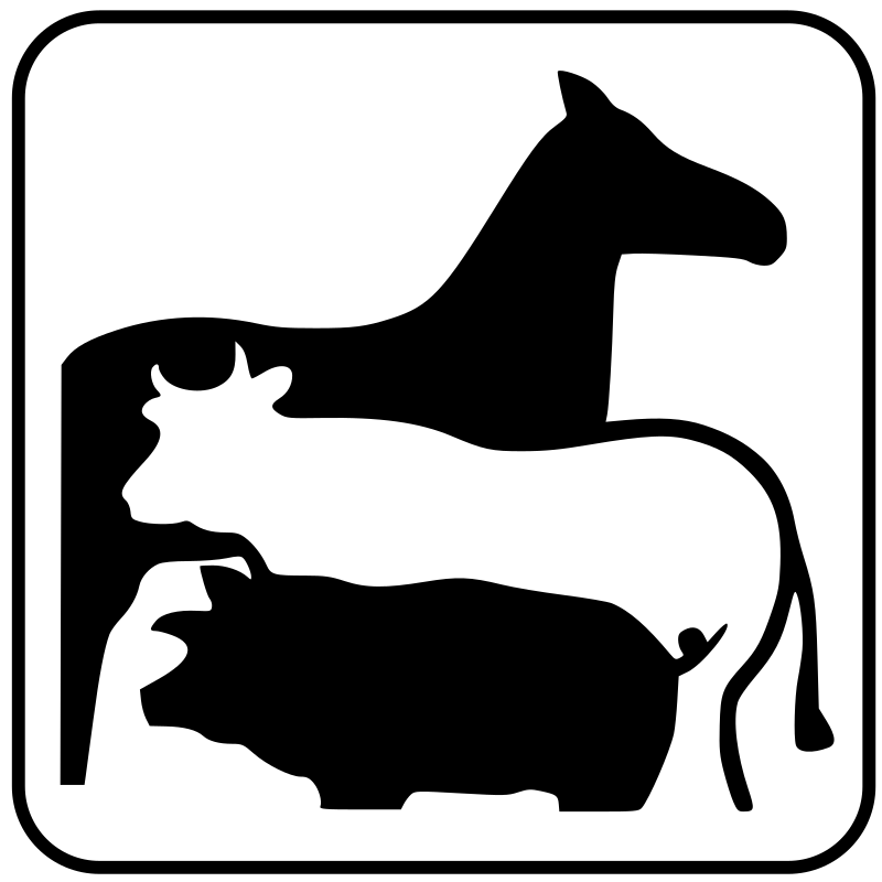 Simbolo Campo Boario