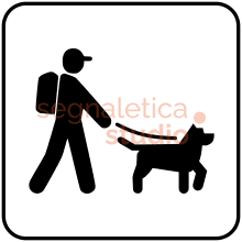 Cani al guinzaglio
