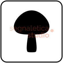 Funghi