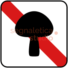 Barrato: funghi